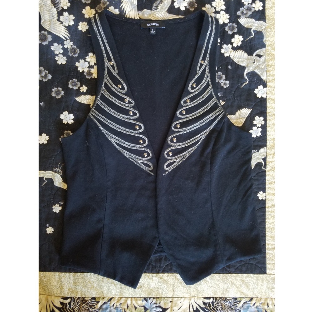 Express knit vest